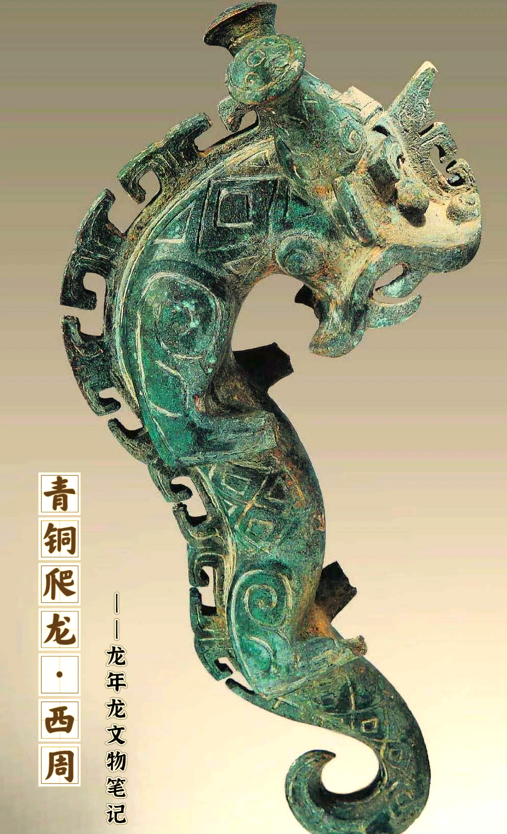 龙图腾，是中国汉族的民族图腾。-中国文化产业促进会龙舟文化专业委员会